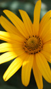 10 Royalty Free Mp3 Ambient Music