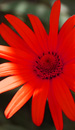10 Royalty Free Mp3 Ambient Music
