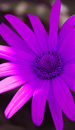 10 Royalty Free Mp3 Ambient Music