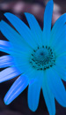 10 Royalty Free Mp3 Ambient Music