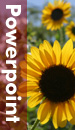 Royalty Free Microsoft Powerpoint Music