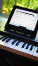 Synth Royalty Free Music